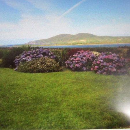 Ocean View B&B Киларни Екстериор снимка